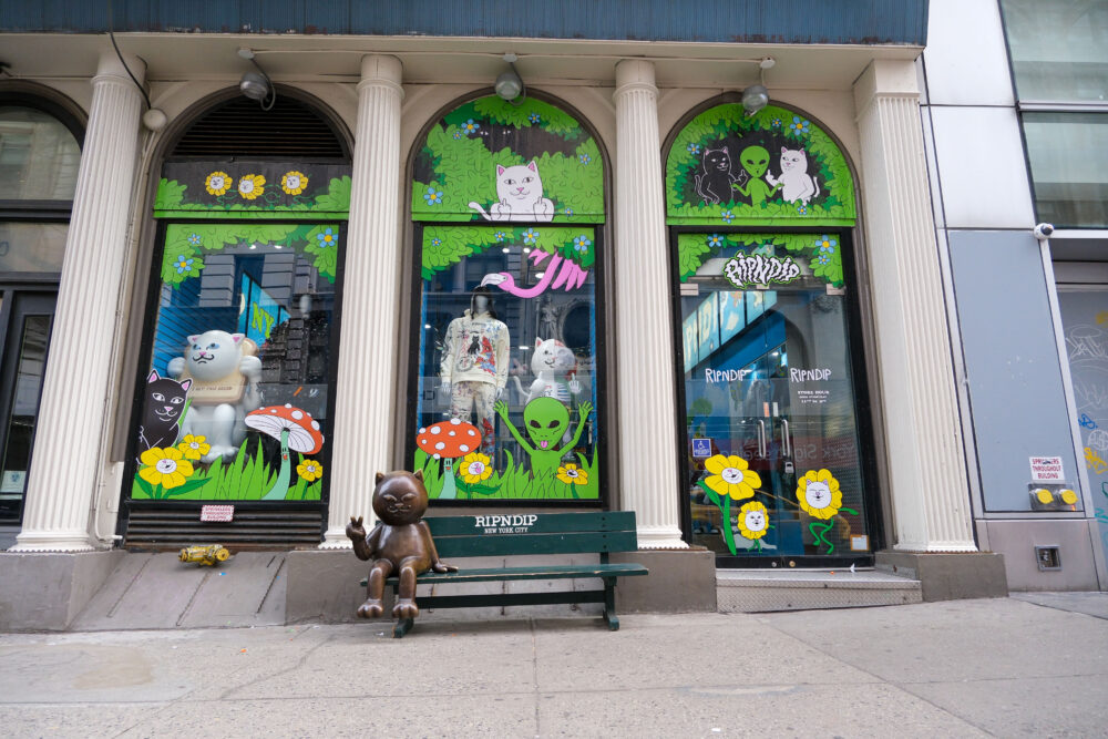 Rip n Dip NYC retail graphics
